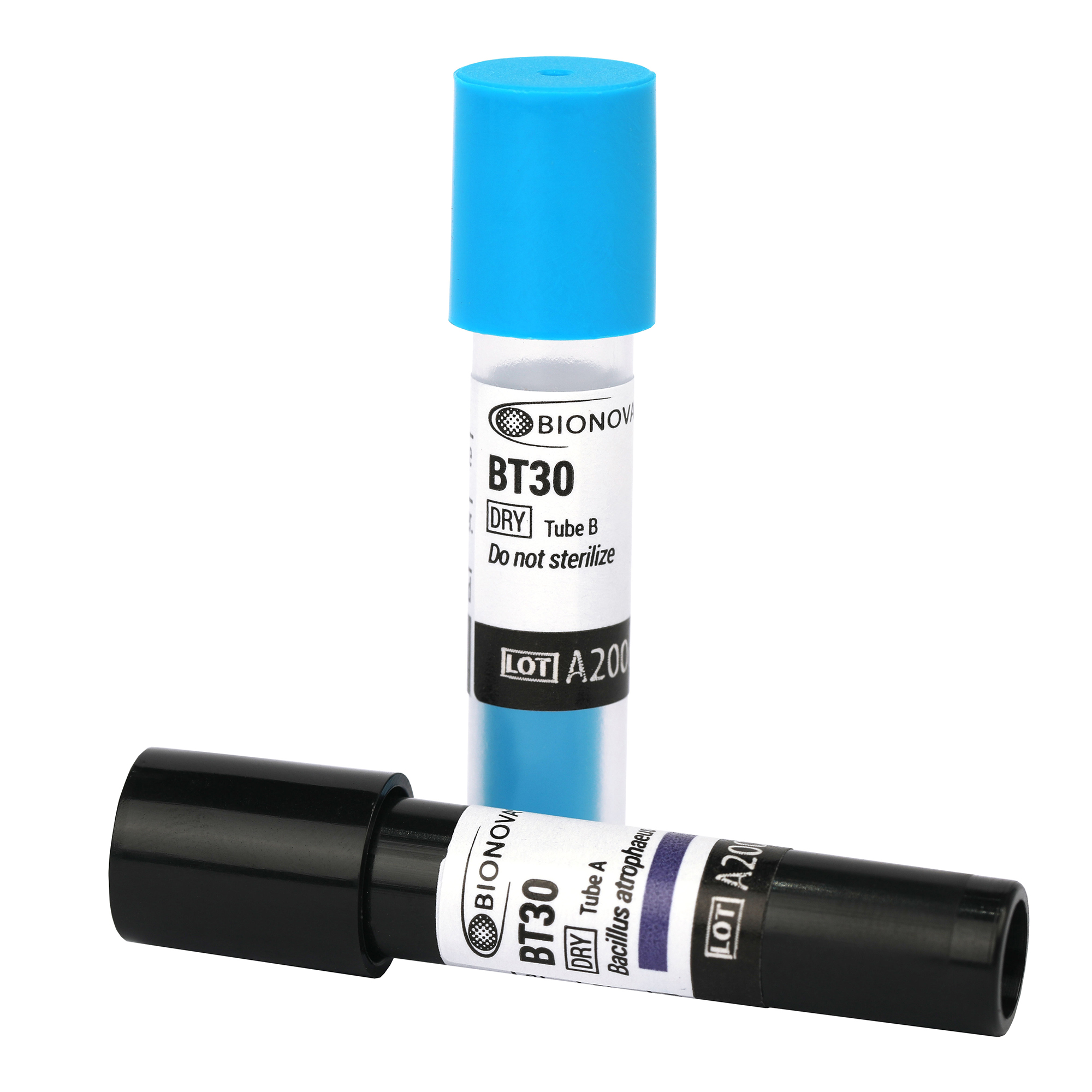 Indicador Biológico de Calor Seco 48 hrs BT-30